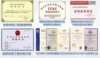 合肥信息工程監(jiān)理咨詢(xún) 專(zhuān)業(yè)第三方信息技術(shù)服務(wù)的領(lǐng)航者